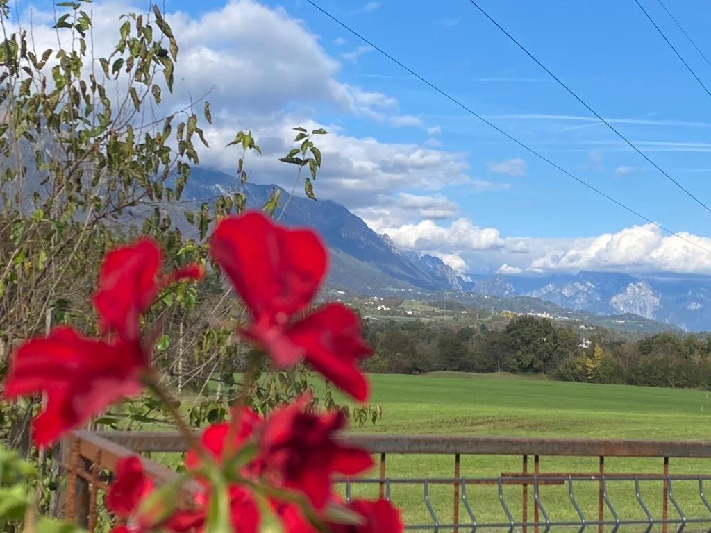 Il Mondo Roverso Feltre Extérieur photo